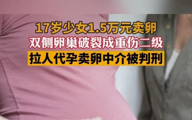 卵之少女在哪下载 最新资源获取方法分享