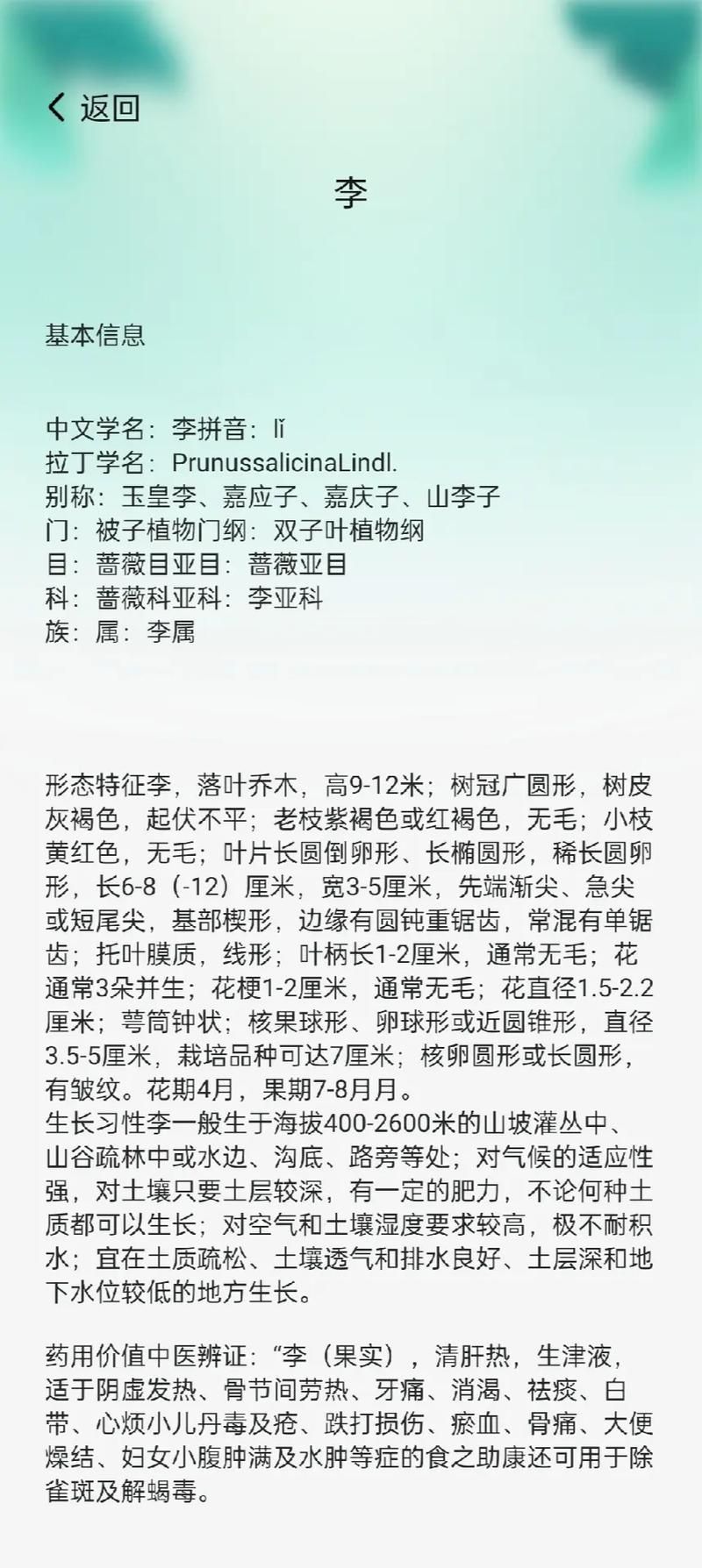 卵之少女游戏攻略心得 高效刷资源与升级方法