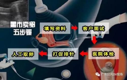 卵之少女游戏攻略心得 高效刷资源与升级方法