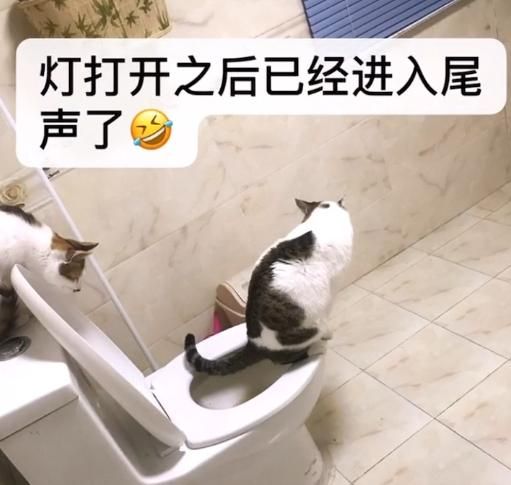 厕所里奇怪的声音如何下载 这些网站免费提供下载