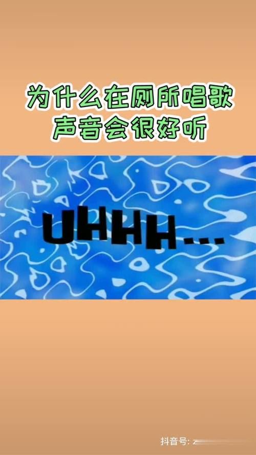 厕所里奇怪的声音安卓汉化版体验评测与下载
