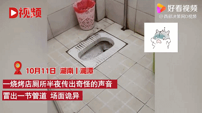 厕所里奇怪的声音官方正式版下载最新版完整版体验