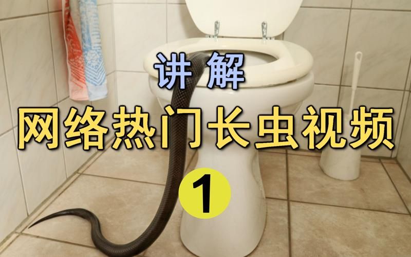 厕所里奇怪的声音官方网站详细解析与讨论