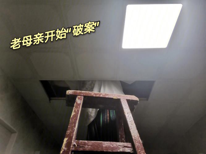 厕所里奇怪的声音官方网站详细解析与讨论