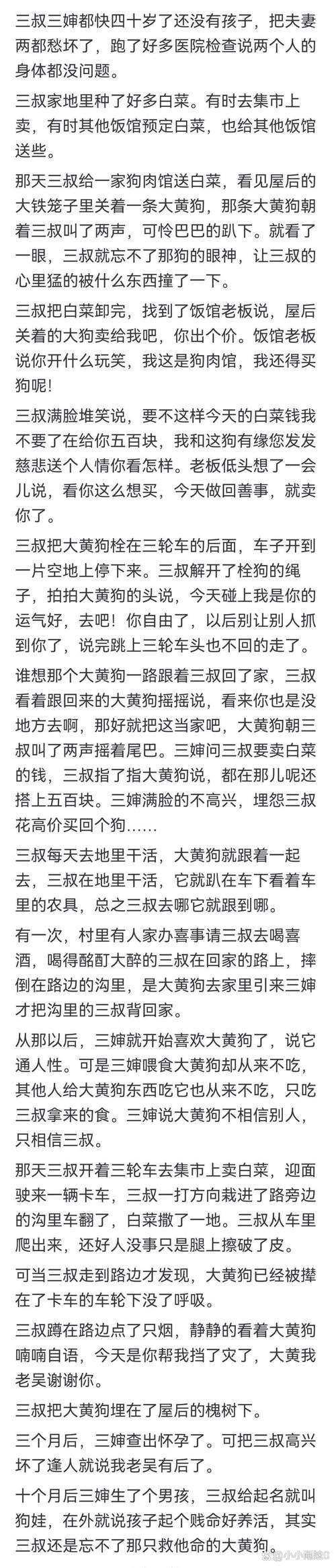 厚颜无耻的十四行诗最新版本背后的社会现象分析