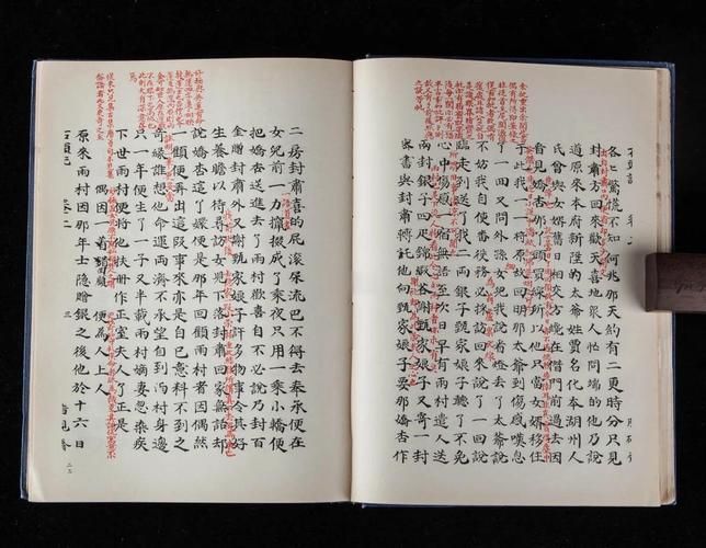 厚颜无耻的十四行诗最新版本背后的社会现象分析