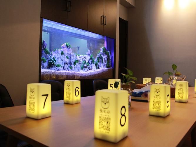 双人会所汉化版下载攻略及使用技巧