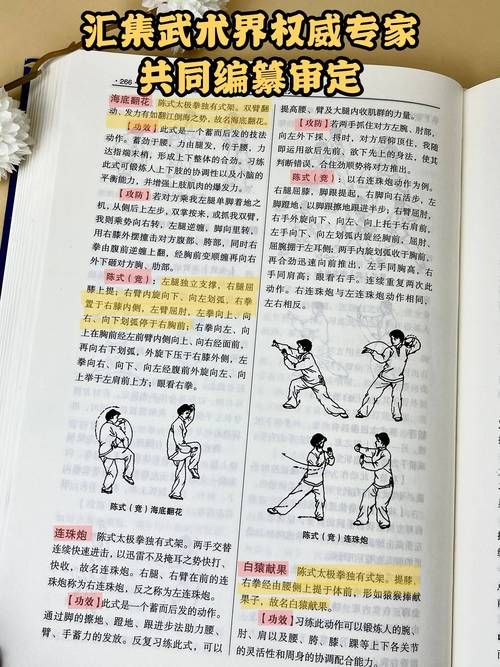 双修武林官方网站高手进阶玩法详细解析