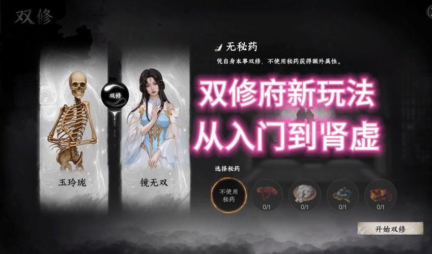 双修武林官网新手入门攻略与技巧分享