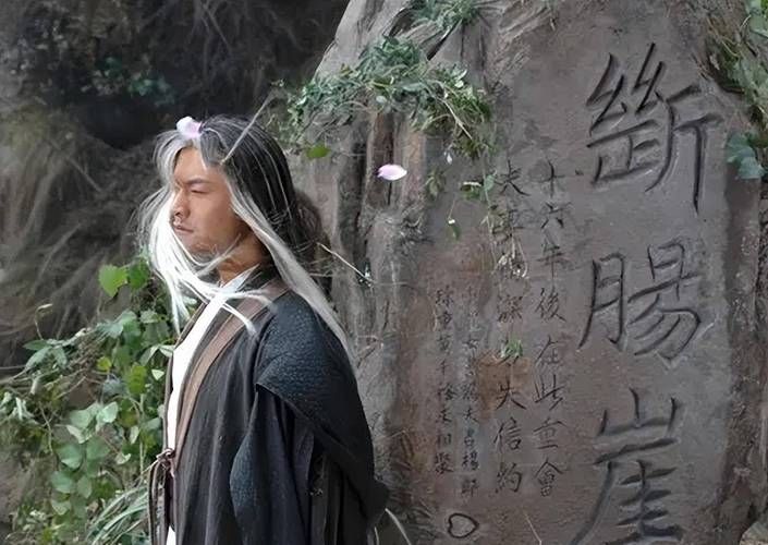 双修武林杨过游戏剧情解析 杨过小龙女爱情故事
