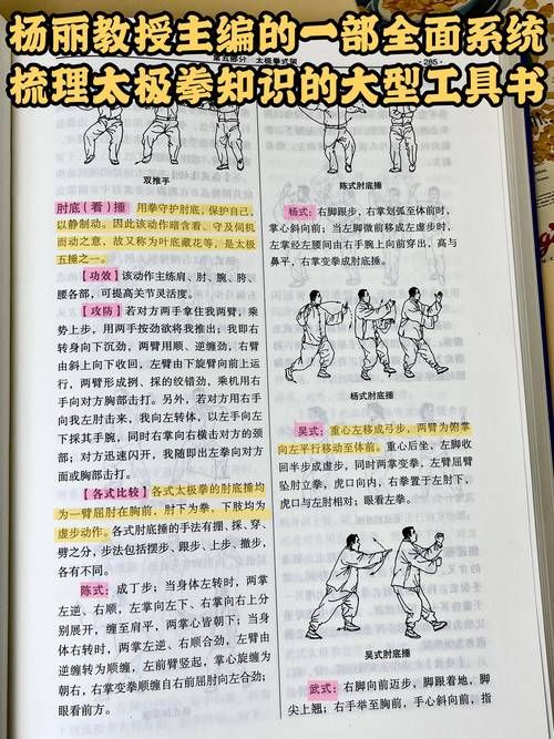 双修武林游戏攻略解析 如何快速提升战力技巧