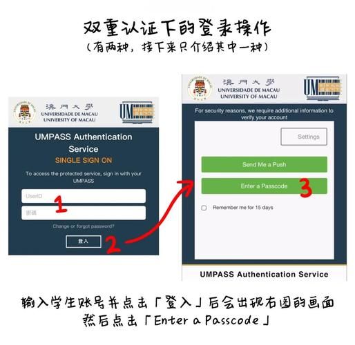 双重感知官方网站使用指南 轻松掌握操作技巧
