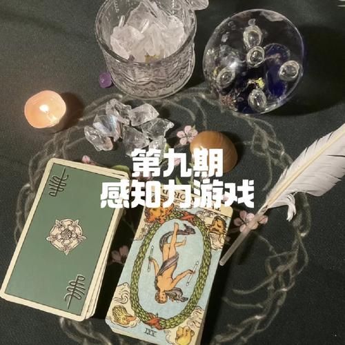 双重感知杨过游戏角色培养攻略快速提升战力
