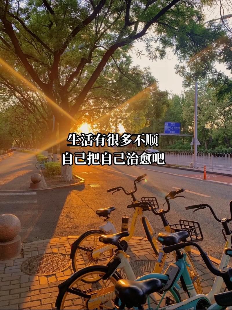 反弹人生官网带你体验人生的华丽转身