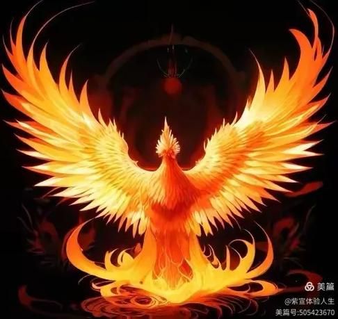 反弹人生官网带你体验人生的华丽转身
