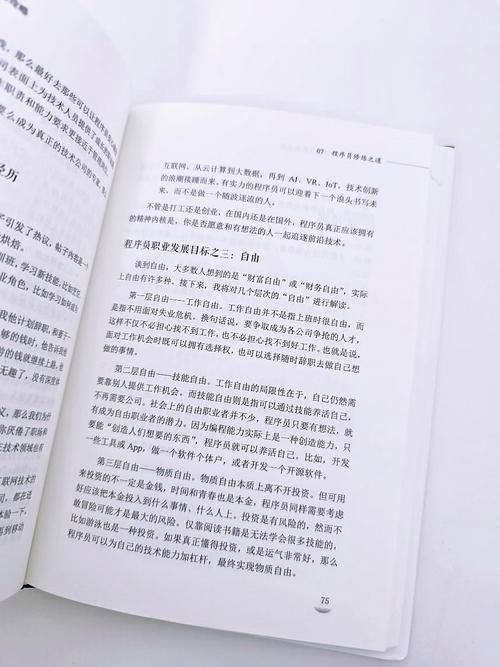 反弹人生版本大全新手入门指南简单易懂