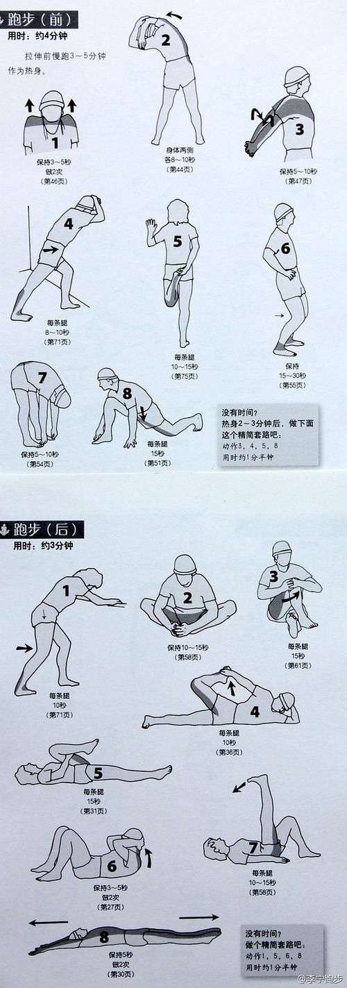 反弹人生版本大全新手入门指南简单易懂