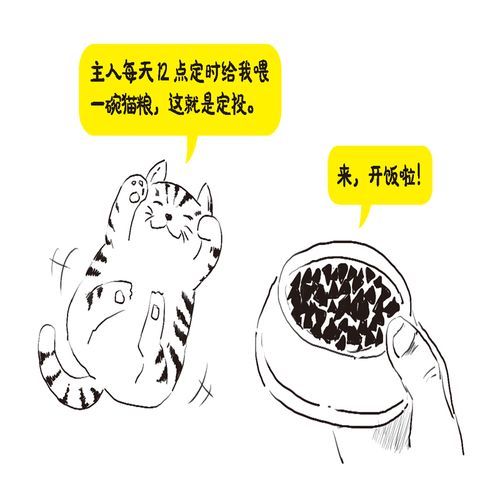 反弹人生版本大全新手入门指南简单易懂