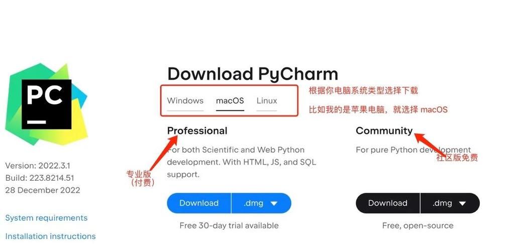 反抗妹如何下载 安全可靠的下载渠道推荐