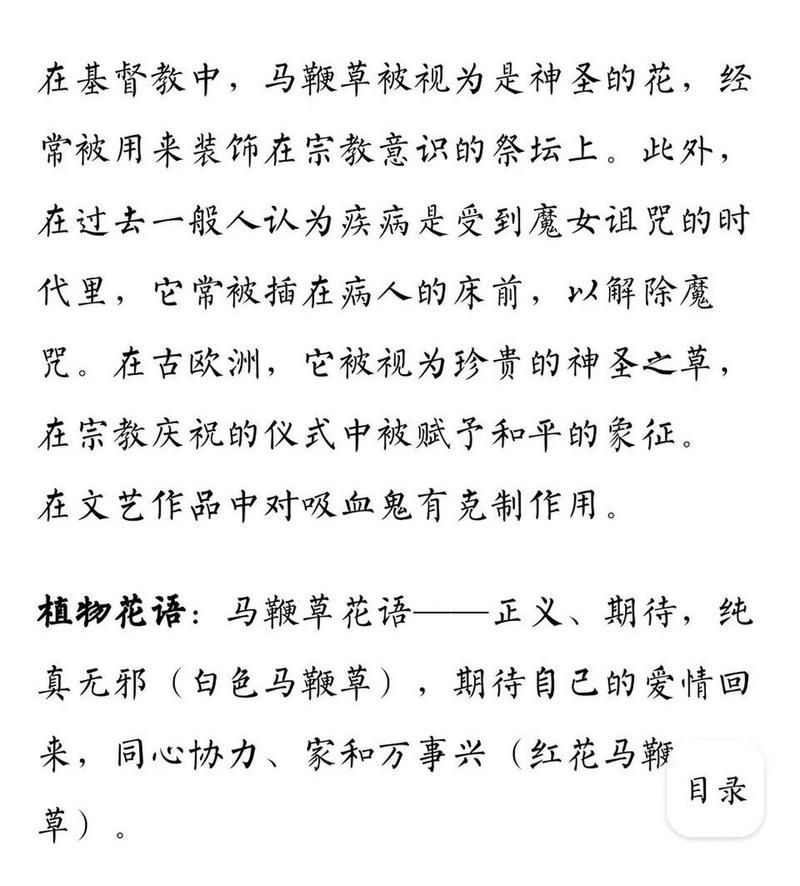 受诅咒的地下城官网背景故事与诅咒起源解析