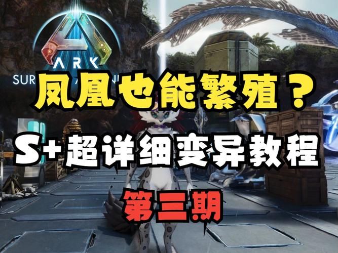 变异区版本大全下载安装教程分享