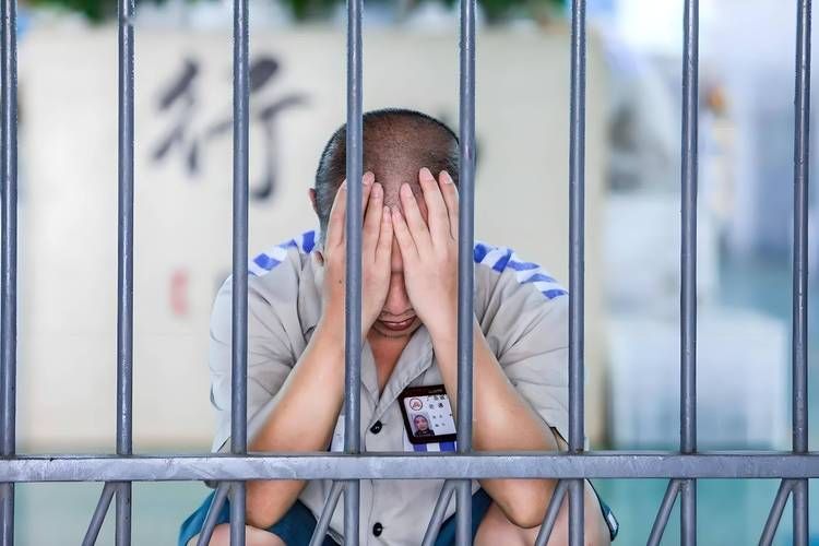 变态监狱官方网站最新监狱管理政策解读