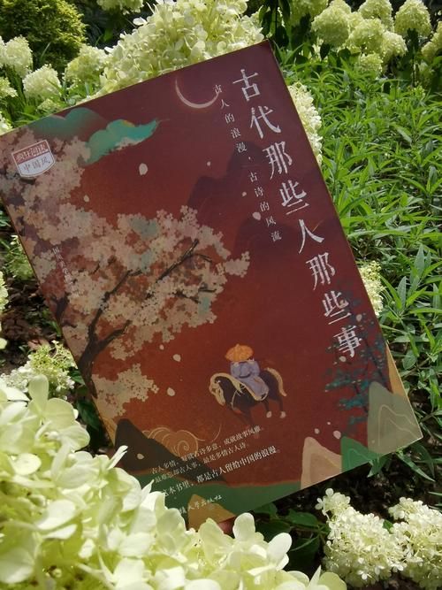 古代风流传官网揭秘古人那些风流趣事