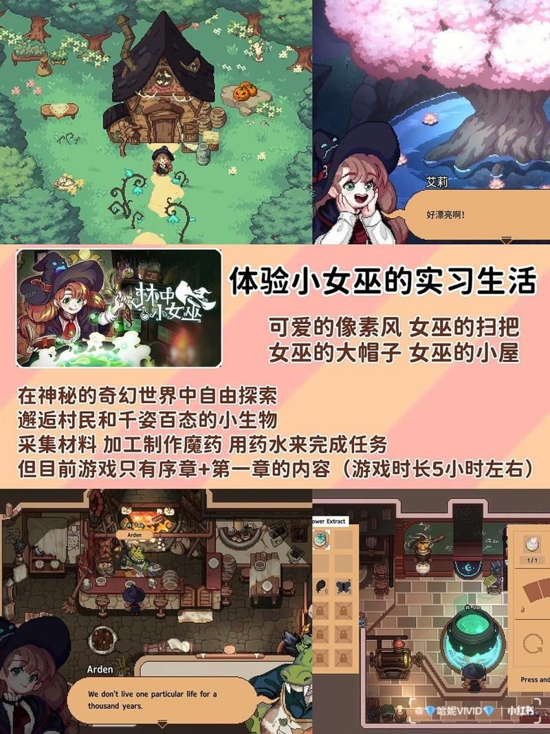 可爱的女巫2游戏介绍 探索奇幻世界的隐藏关卡