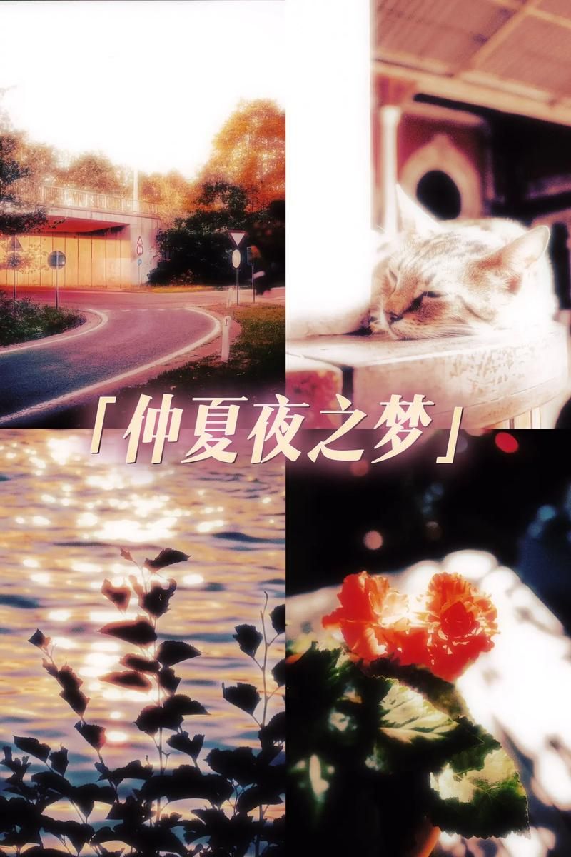 台北仲夏夜之梦下载攻略 手机电脑都能看