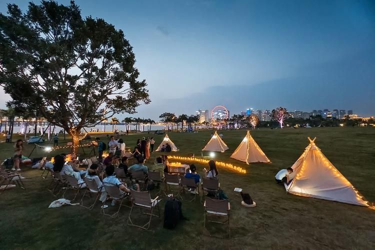 台北仲夏夜之梦最新攻略带你玩转夏日夜晚