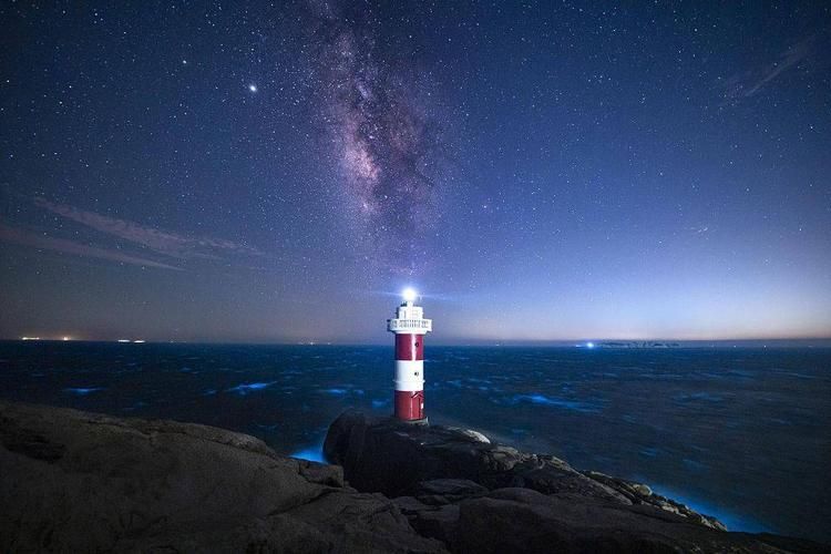 台北仲夏夜之梦最新攻略带你玩转夏日夜晚