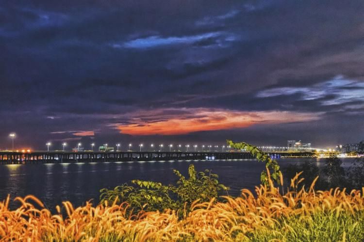台北仲夏夜之梦最新攻略带你玩转夏日夜晚