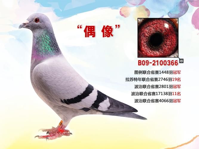 史密斯的血统安卓和其他系统有什么区别