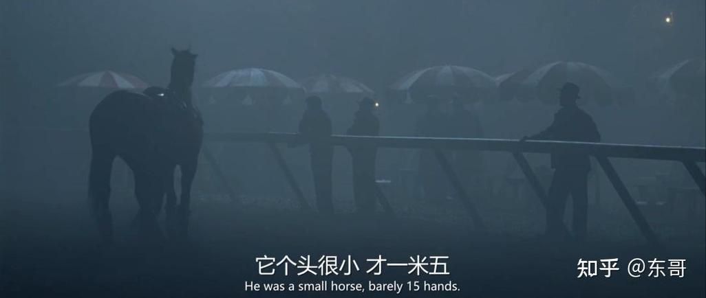 史密斯的血统官网如何查询你的家族渊源