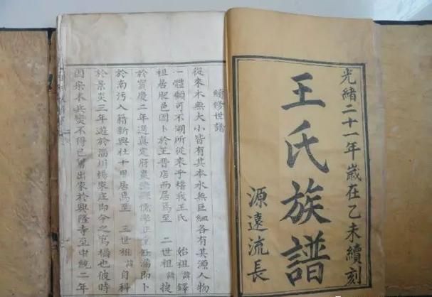 史密斯的血统官网如何查询你的家族渊源