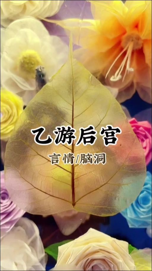 后宫岛安卓汉化版怎么玩新手必看攻略