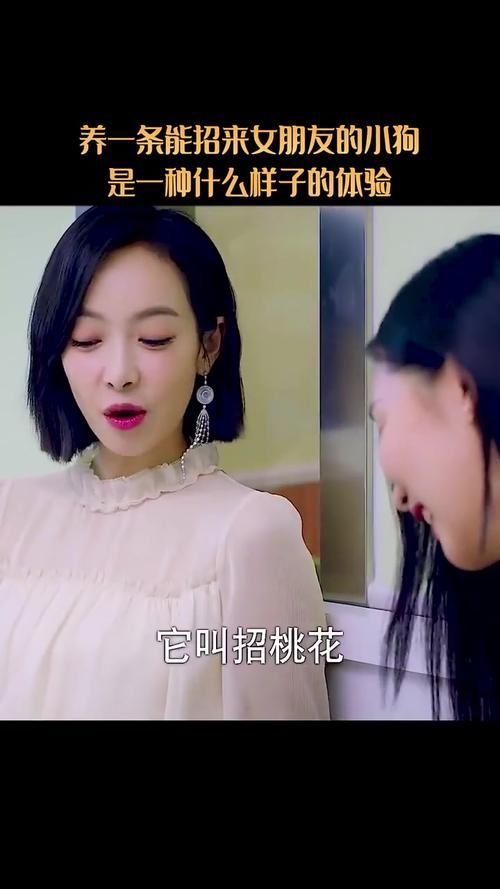 命中注定的召唤术最新版本上线啦快来体验吧