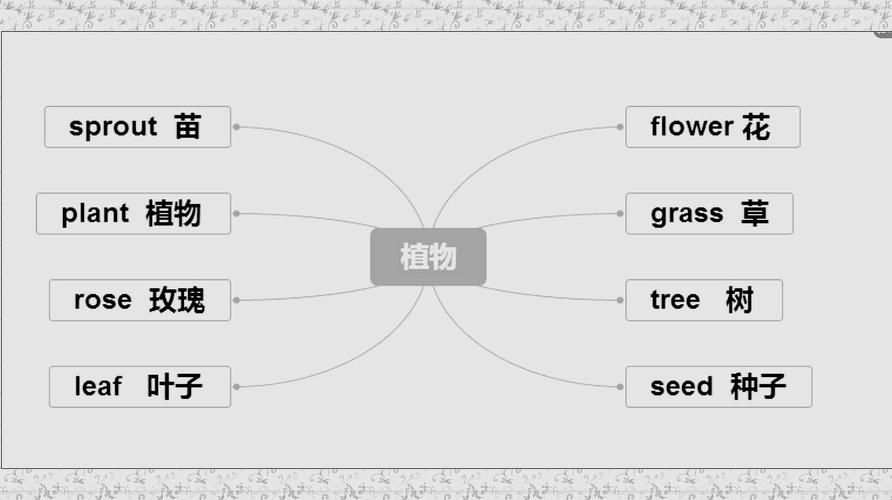 和我一起玩耍的英语老师最新版本功能全面解析