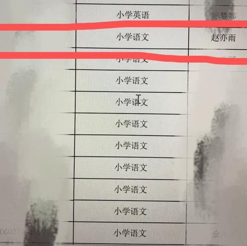 和我一起玩耍的英语老师游戏全关卡攻略解析