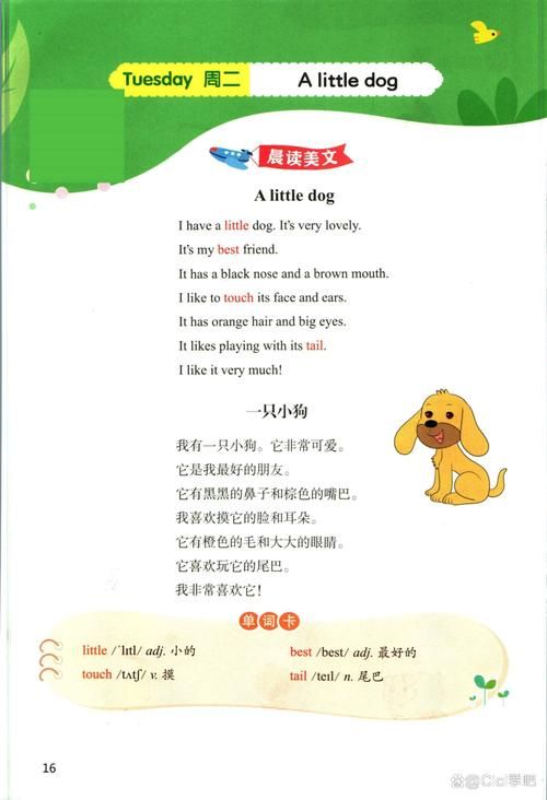 和我一起玩耍的英语老师版本大全 提升口语最佳选择