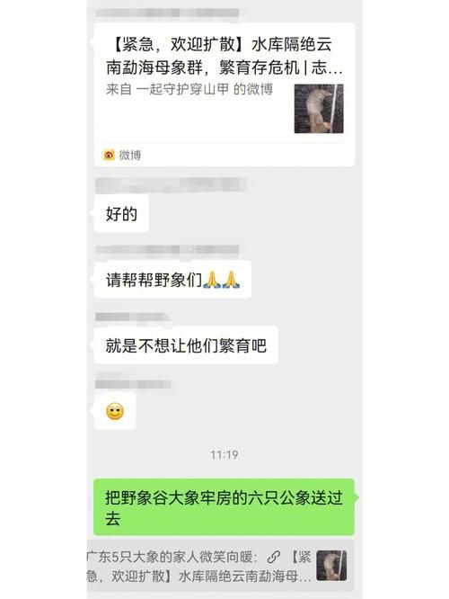 响野家的商店最新地址在哪 详细位置告诉你