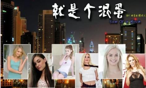 哪里可以下载SOB汉化版 最新资源推荐