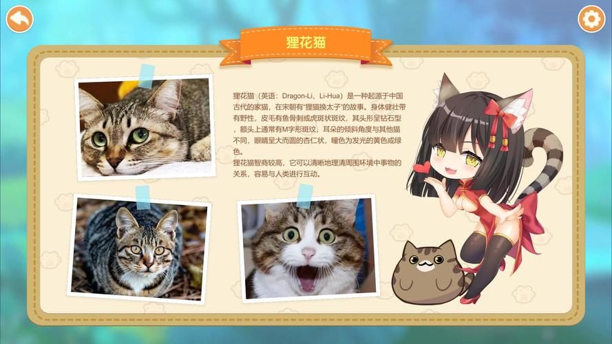 喵喵岛2安卓下载方法 最新安装包轻松获取