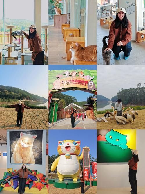 喵喵岛2最新版本是多少 现在更新到哪个版本了
