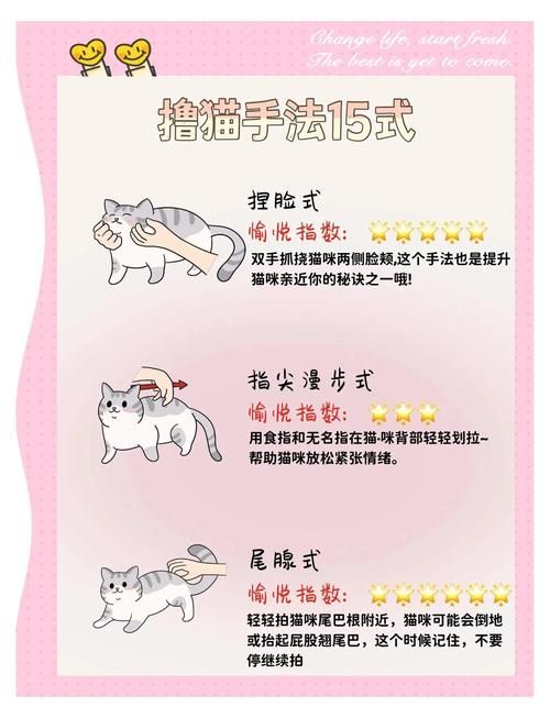 喵喵岛2版本大全怎么玩快速上手技巧分享
