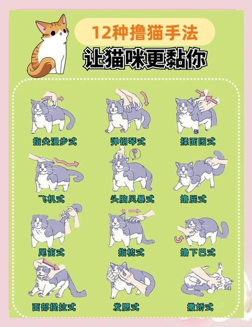喵喵岛2版本大全怎么玩快速上手技巧分享