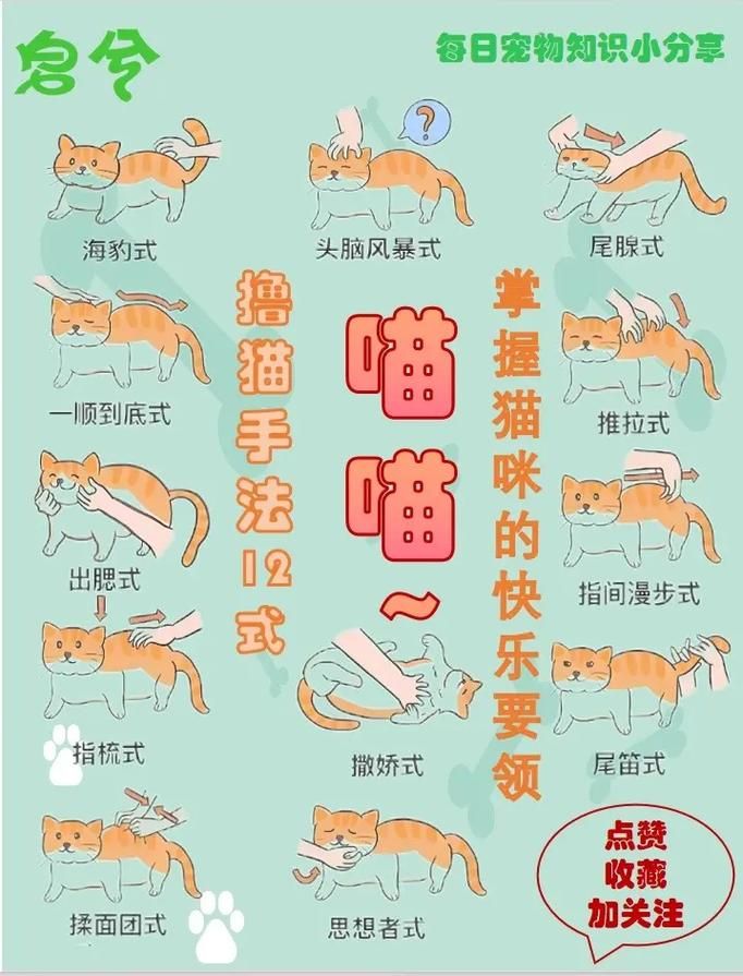 喵喵岛2版本大全怎么玩快速上手技巧分享