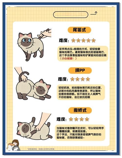 喵喵岛2版本大全怎么玩快速上手技巧分享