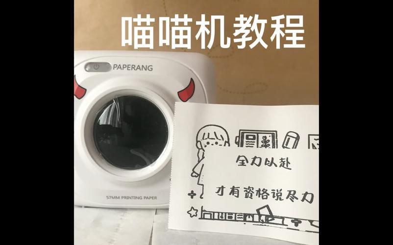 喵喵岛3最新版本下载地址及安装教程分享