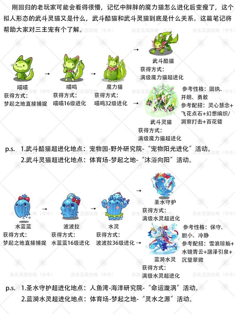 喵喵岛3最新版本更新内容 新增宠物和地图一览